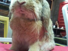 android_upload_pic-MIKAKU(万达广场上海宝山店)