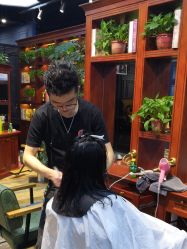 -东晨宝格丽品质造型