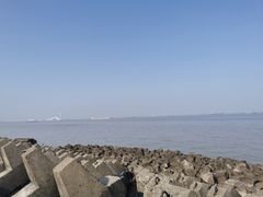 -上海滨江森林公园