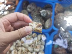 -亚龙湾8号(丁村万人海鲜广场店)