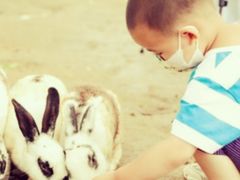 -前小桔亲子创意农场·草莓采摘·露营烧烤