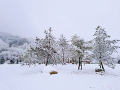 -鳌山滑雪度假区
