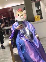 -卓梵美发·精品Salon