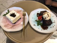 -飞行喵MR PILOT|猫舍·猫咖(静安大融城店)