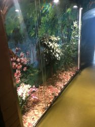 -北京科学中心儿童乐园