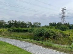 -桤木河湿地公园