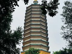 -八大处公园