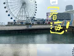 -琴岛之星摩天轮