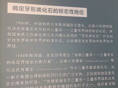 -金钉子远古世界景区