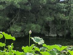 -东山雕花楼