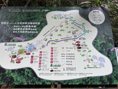 -野象谷景区
