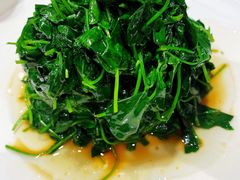 酒香豆苗-新吉士·上海菜(浦东LCM置汇旭辉店)