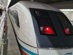 -龙阳路磁悬浮列车总站-停车场