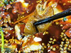 -烧哥美蛙肥肠鱼火锅·十五年社区店