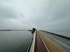 -贡湖湾湿地公园