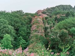 -南山风景名胜区