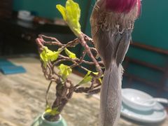 -佬麻雀·新湘菜(珠海金发购物中心店)