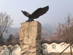 -北京鹫峰国家森林公园