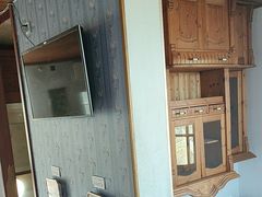 -金山农民画村-枫泾波兰倒置屋