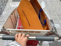 -LV路易威登(大兴国际机场店)