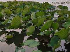 -西湖天地