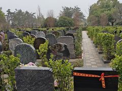 -武汉大学人民医院(首义院区)