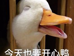 -扬州天乐湖嬉乐谷