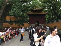 -普陀山风景名胜区-法雨禅寺