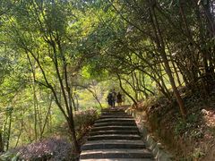 -广州白江湖森林公园