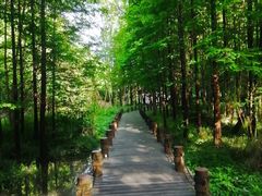 -桤木河湿地公园