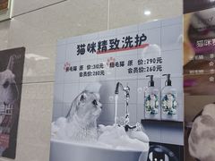 -北京观赏动物医院·24小时大型综合·猫专科·异宠专科