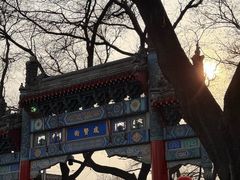 -北京国子监胡同