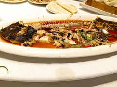 -鹊华居·地道鲁菜·海鲜·融合味(大明湖店)