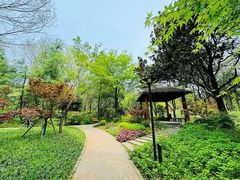 -上海吴淞炮台湾国家湿地公园