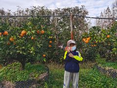 -前小桔亲子创意农场·草莓采摘·露营烧烤