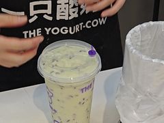 -一只酸奶牛(时代天街A馆店)