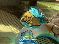 -中山夏威夷游泳馆(小榄店)