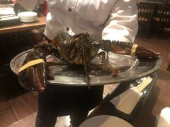 -RED LOBSTER(环球影城大阪店)