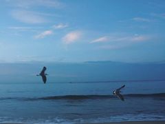 -海云台海滩