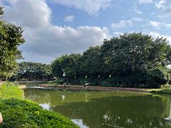 -广州长隆飞鸟乐园