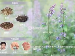 -虢国羊肉汤馆(政二街店)