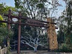 -南宁良凤江国家森林公园