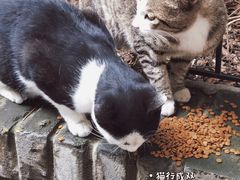 -半坡国际艺术区
