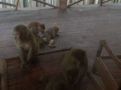 -重庆雨台山风景区