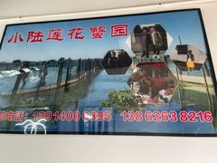 -小陆莲花蟹园农家乐(莲花岛店)