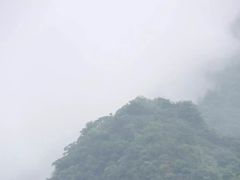 -藏龙百瀑风景区