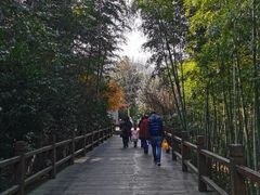 -天目湖御水温泉·度假酒店