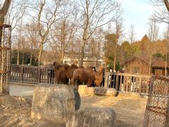 -苏州上方山国家森林公园