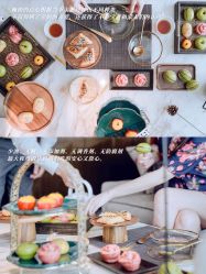 -巍阁月子中心(南山店)