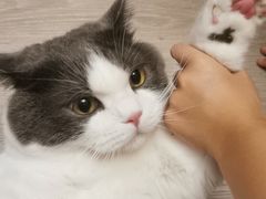 -PETKIT小佩宠物·低压洗护(国顺东路店)